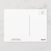 Blauwe jay met sneeuw op z'n bek briefkaart (Achterkant)