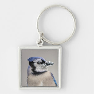 Blauwe jay met sneeuw op z'n bek sleutelhanger