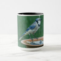 Blauwe Jay op Vogelbad Vogelfotografie 15oz Koffie