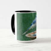 Blauwe Jay op Vogelbad Vogelfotografie 15oz Koffie Mok (Voorkant links)