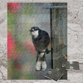 Blauwe Jay Perched op Feeder Fotografische Vogel Legpuzzel