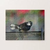 Blauwe Jay Perched op Feeder Fotografische Vogel Legpuzzel (Horizontaal)