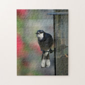 Blauwe Jay Perched op Feeder Fotografische Vogel Legpuzzel (Verticaal)