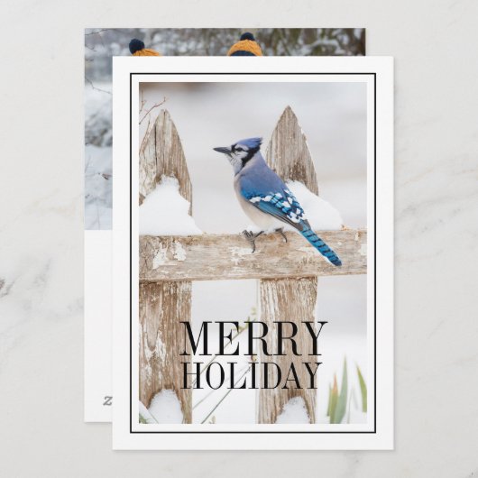 Blauwe Jay Perched op Snowy Fence Feestdagenkaart (Voorkant / Achterkant)