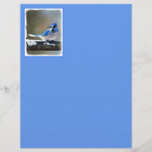 Blauwe jay-schildering - Oorspronkelijke vogelkuns (Voorkant)