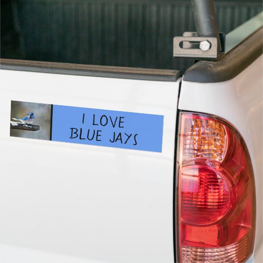 Blauwe jay-schildering - Oorspronkelijke vogelkuns Bumpersticker (Op Truck)