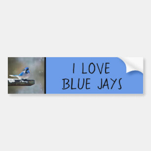 Blauwe jay-schildering - Oorspronkelijke vogelkuns Bumpersticker