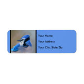 Blauwe jay-schildering - Oorspronkelijke vogelkuns Etiket (Voorkant)