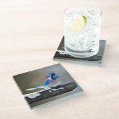 Blauwe jay-schildering - Oorspronkelijke vogelkuns Glazen Onderzetter (Schuin)