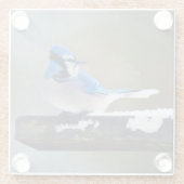 Blauwe jay-schildering - Oorspronkelijke vogelkuns Glazen Onderzetter (Achterkant)