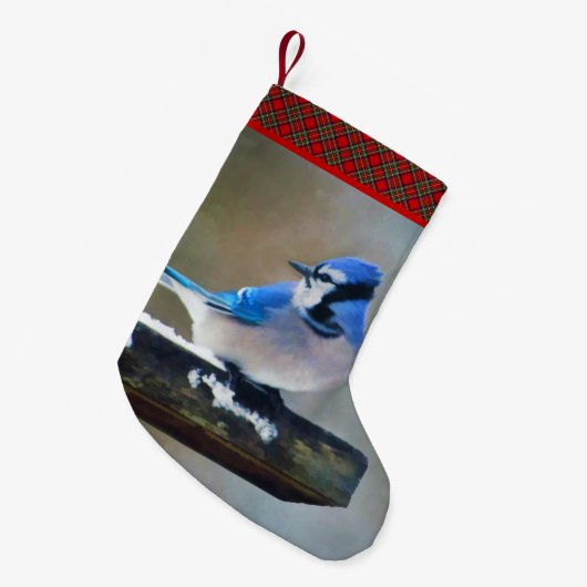 Blauwe jay-schildering - Oorspronkelijke vogelkuns Kleine Kerstsok (Voorkant (Hangend))