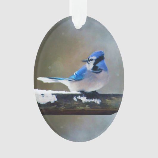 Blauwe jay-schildering - Oorspronkelijke vogelkuns Ornament (voorkant)