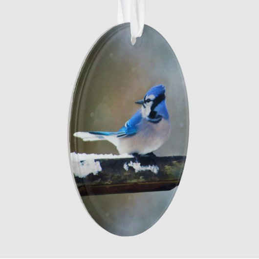 Blauwe jay-schildering - Oorspronkelijke vogelkuns Ornament (voorkant)