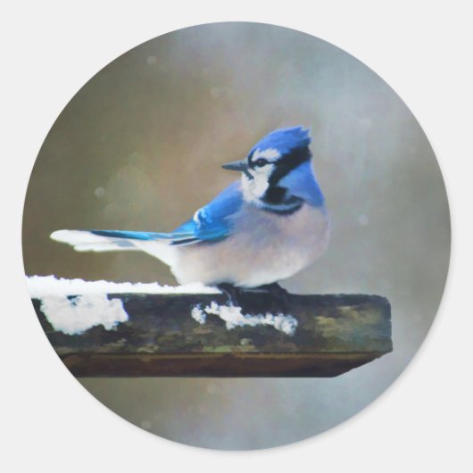 Blauwe jay-schildering - Oorspronkelijke vogelkuns Ronde Sticker (Voorkant)