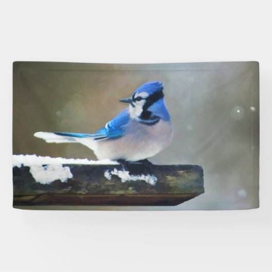 Blauwe jay-schildering - Oorspronkelijke vogelkuns Spandoek (Horizontaal)