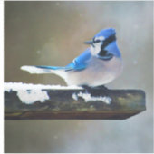 Blauwe jay-schildering - Oorspronkelijke vogelkuns Sticker (Voorkant)