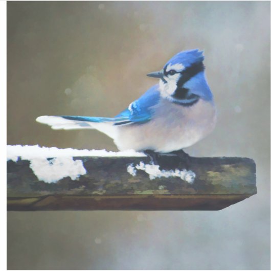 Blauwe jay-schildering - Oorspronkelijke vogelkuns Sticker (Voorkant)