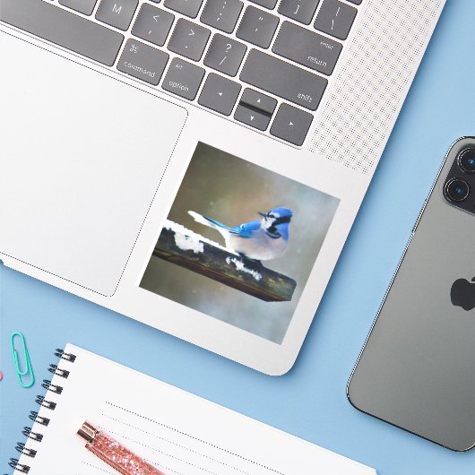 Blauwe jay-schildering - Oorspronkelijke vogelkuns Sticker (Laptop met iPhone)