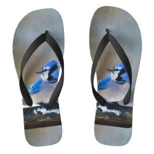 Blauwe jay-schildering - Oorspronkelijke vogelkuns Teenslippers