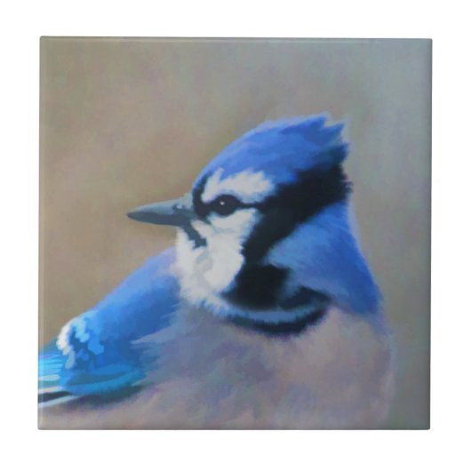 Blauwe jay-schildering - Oorspronkelijke vogelkuns Tegeltje (Voorkant)
