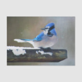 Blauwe jay-schildering - Oorspronkelijke vogelkuns Tissuepapier (Voorkant)