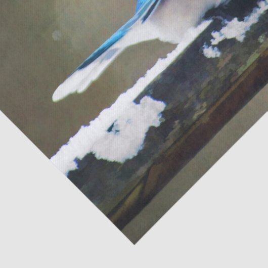 Blauwe jay-schildering - Oorspronkelijke vogelkuns Tissuepapier (Detail)