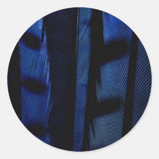 Blauwe jay veren ronde sticker