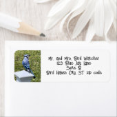 Blauwe Jay, Vogel Adresetiketten Etiket (Insitu)