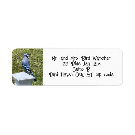 Blauwe Jay, Vogel Adresetiketten Etiket (Voorkant)