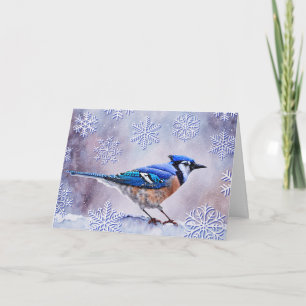 Blauwe Jay Vogel Sneeuw Winter Kerstmis Kaart