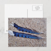 Blauwe Jay-vogelveren Briefkaart (Voorkant / Achterkant)