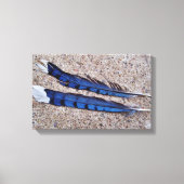 Blauwe Jay-vogelveren Canvas Afdruk (Voorkant)