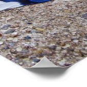 Blauwe Jay-vogelveren Poster (Hoek)