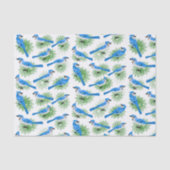 blauwe Jays bij eenduidige pinebomen Tissuepapier (Voorkant)