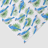 blauwe Jays bij eenduidige pinebomen Tissuepapier (Detail)