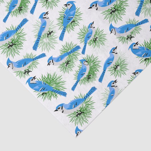 blauwe Jays bij eenduidige pinebomen Tissuepapier (Detail)