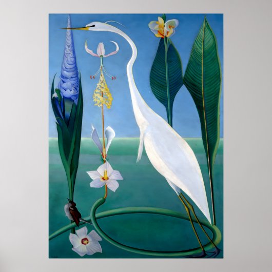 Blauwe Jays in de winter door Abbott Handerson Tha Poster (Voorkant)