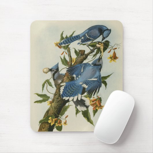 Blauwe Jays van Audubon Muismat (Met muis)