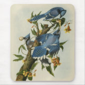 Blauwe Jays van Audubon Muismat (Voorkant)