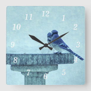 Blauwe Jays Winter Feeding Painterly Wandklok
