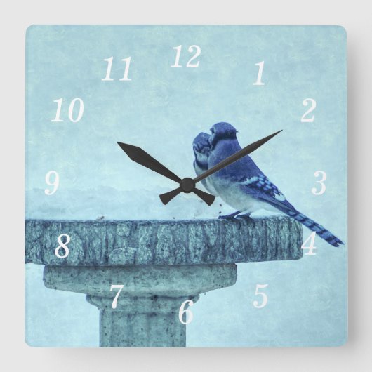 Blauwe Jays Winter Feeding Painterly Wandklok (Voorkant)