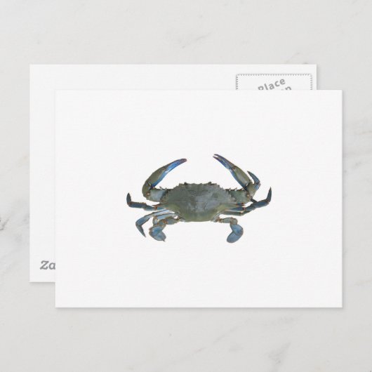 Blauwe "Jimmy" Crab Briefkaart (Voorkant / Achterkant)