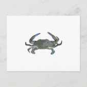Blauwe "Jimmy" Crab Briefkaart (Voorkant)