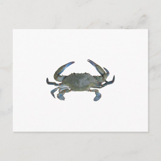Blauwe "Jimmy" Crab Briefkaart (Voorkant)