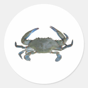 Blauwe "Jimmy" Crab Ronde Sticker