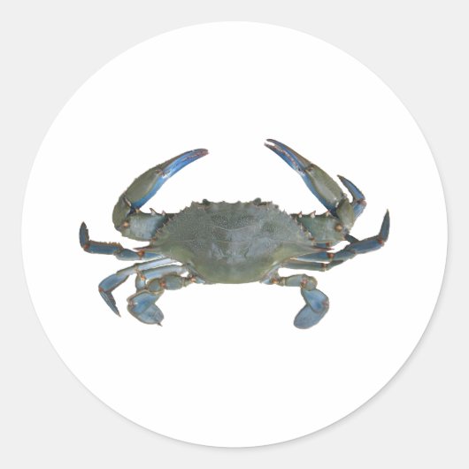 Blauwe "Jimmy" Crab Ronde Sticker (Voorkant)
