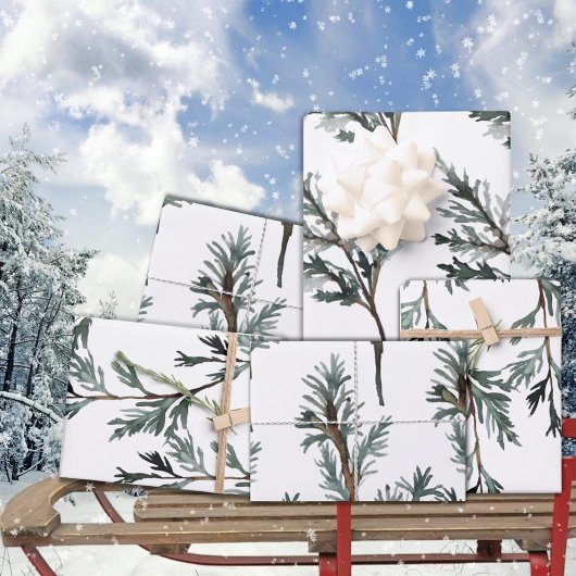 Blauwe Juniper en cedar Tree Branch Winter Greener Inpakpapier Vel