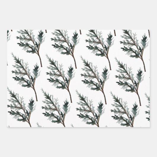Blauwe Juniper en cedar Tree Branch Winter Greener Inpakpapier Vel (Voorkant)
