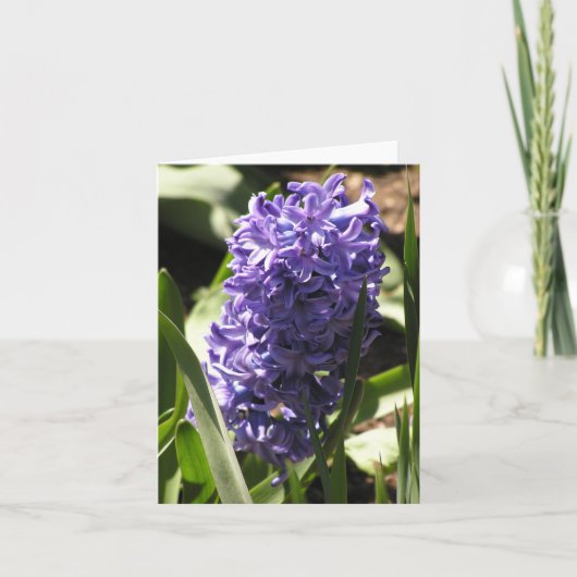 blauwe kaart voor Hyacinth (Voorkant)
