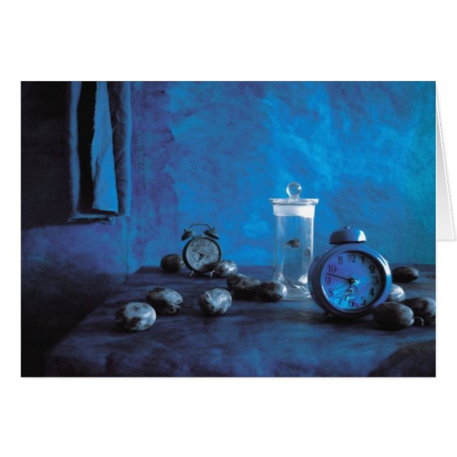 BLAUWE KAMER (Voorkant Horizontaal)